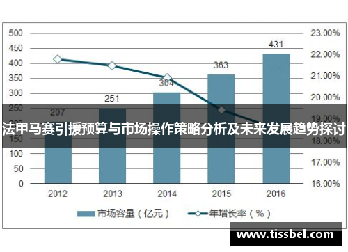法甲马赛引援预算与市场操作策略分析及未来发展趋势探讨