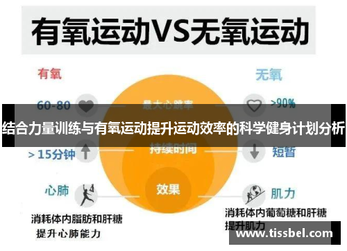 结合力量训练与有氧运动提升运动效率的科学健身计划分析