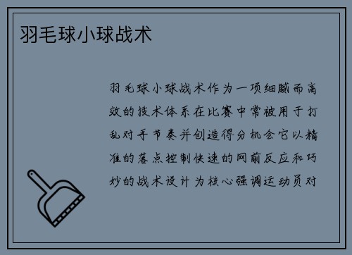 羽毛球小球战术